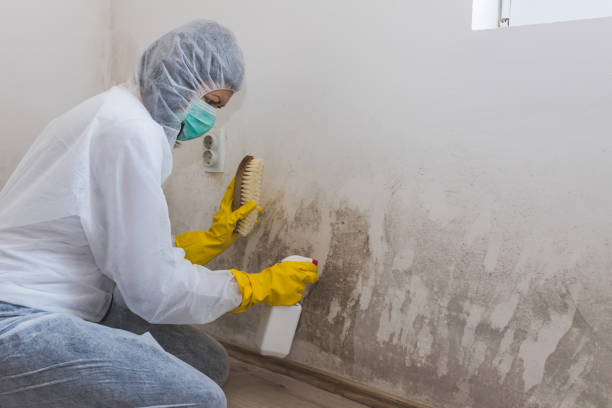 Best Post-Remediation Verification Testing  in Weldon, NC