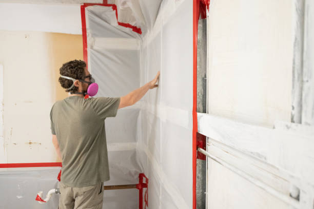 Best Mold Damage Restoration  in Weldon, NC
