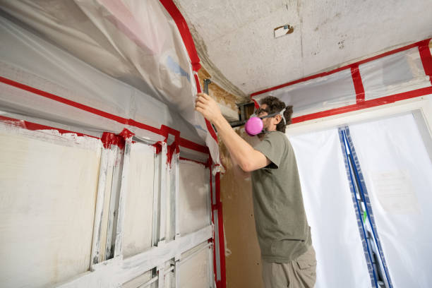 Mold Documentation for Insurance Claims in Weldon, NC