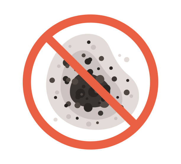 Best Forensic Mold Investigation  in Weldon, NC