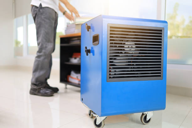 Best Basement Mold Removal  in Weldon, NC